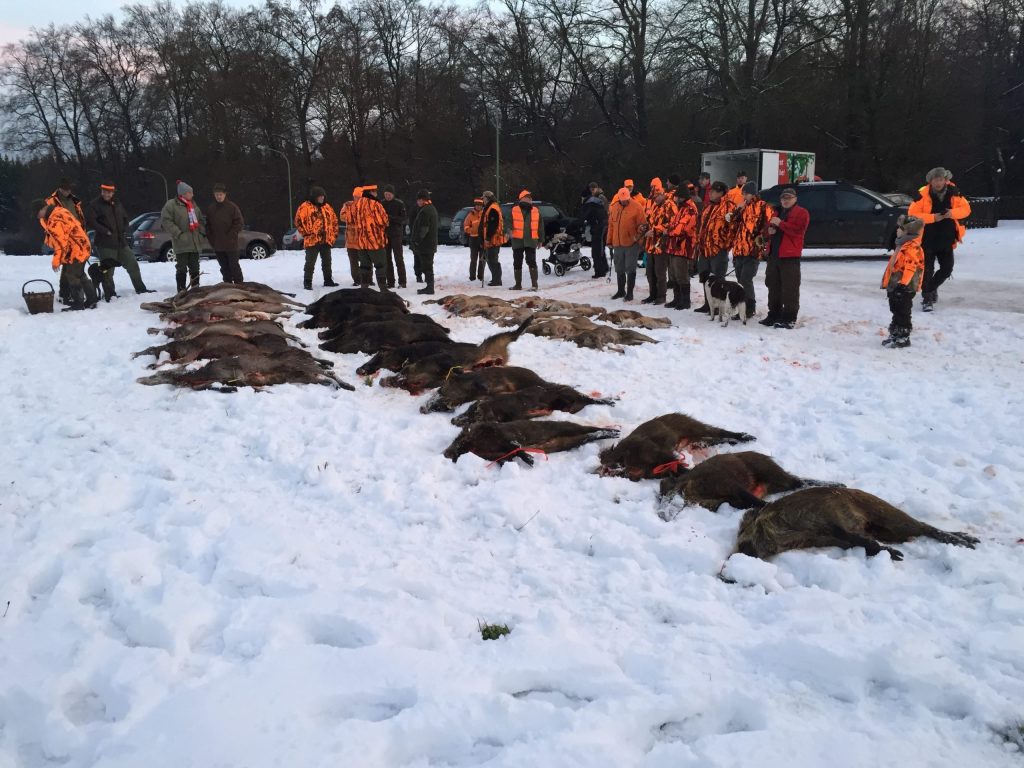 Strecke einer Drückjagd im Schnee, Jäger in Signalfarbe