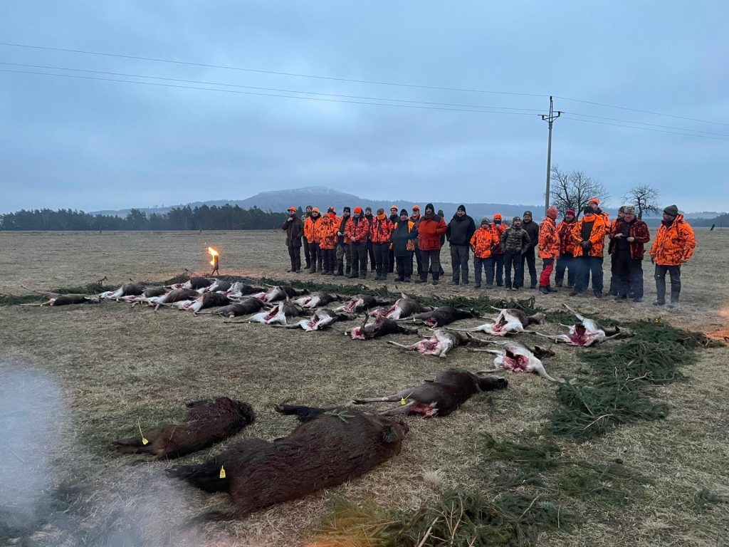 Strecke einer Drückjagd auf freiem Feld, Jäger in Signalfarbe