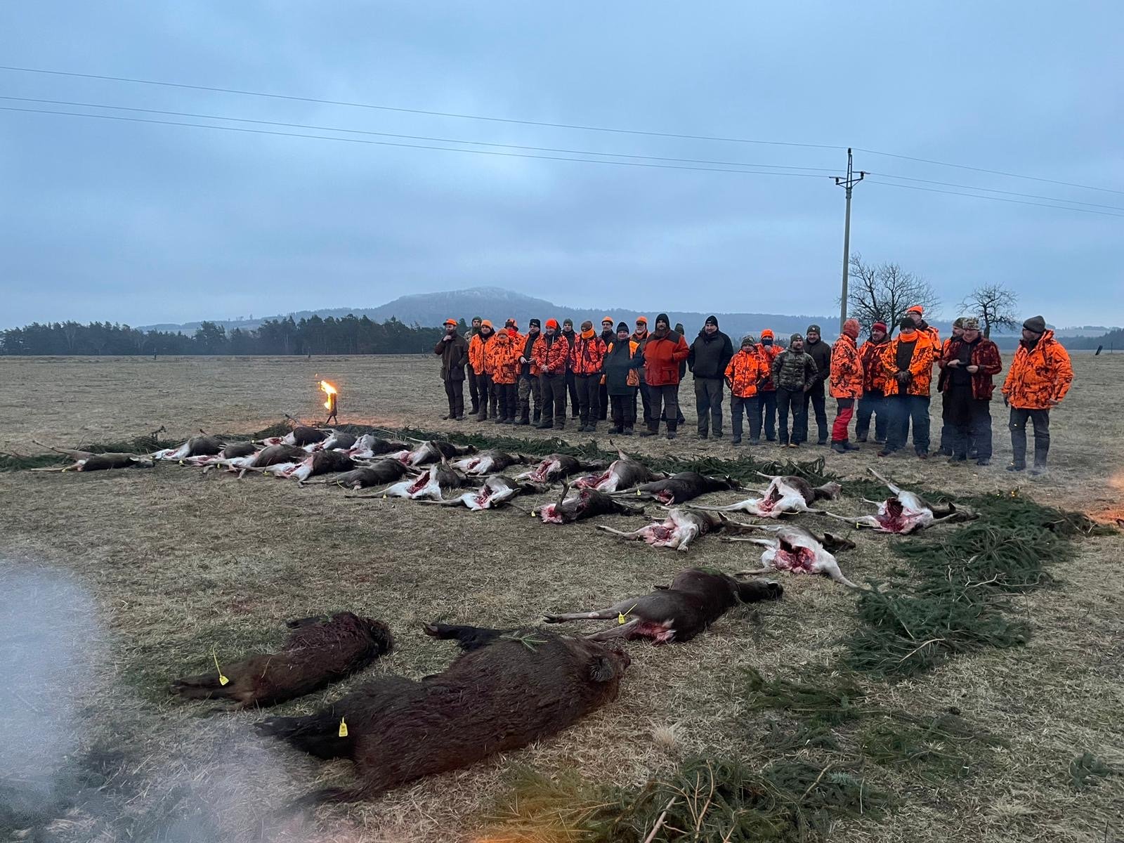 Strecke einer Drückjagd auf freiem Feld, Jäger in Signalfarbe