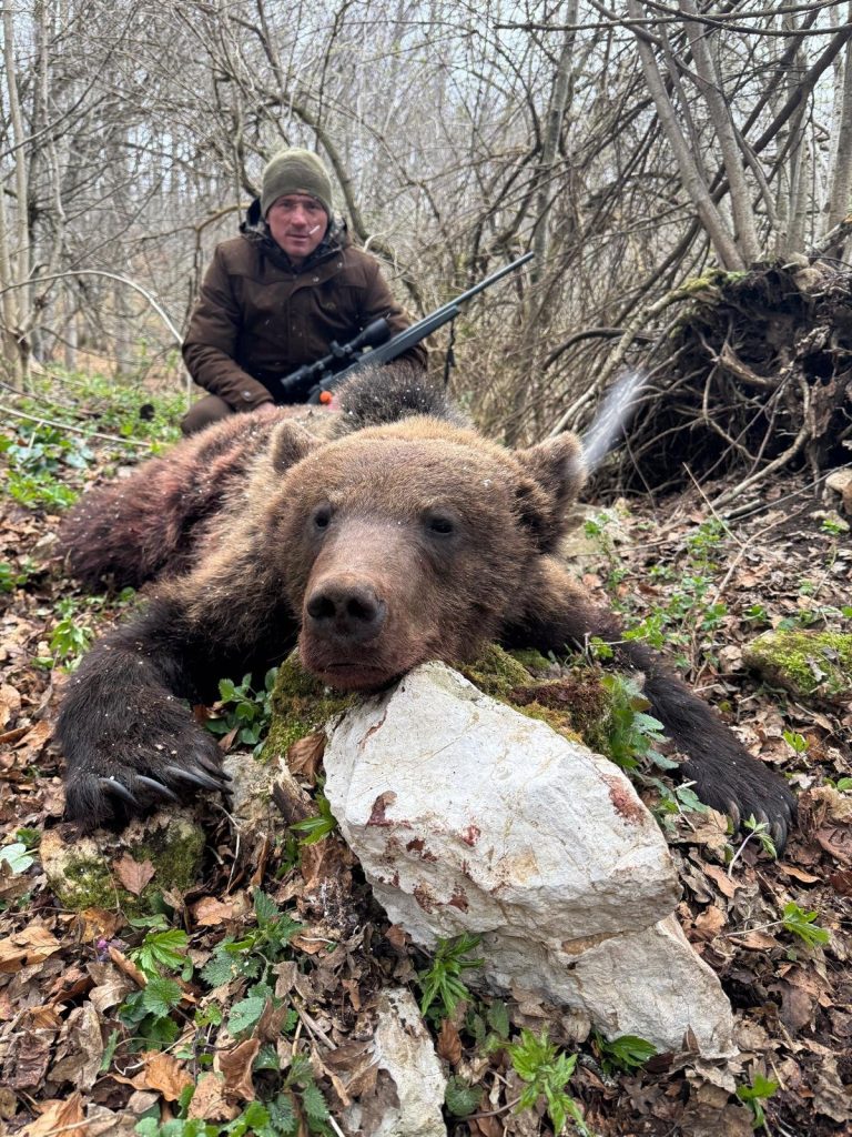 Jäger mit erlegtem Braunbär im Wald