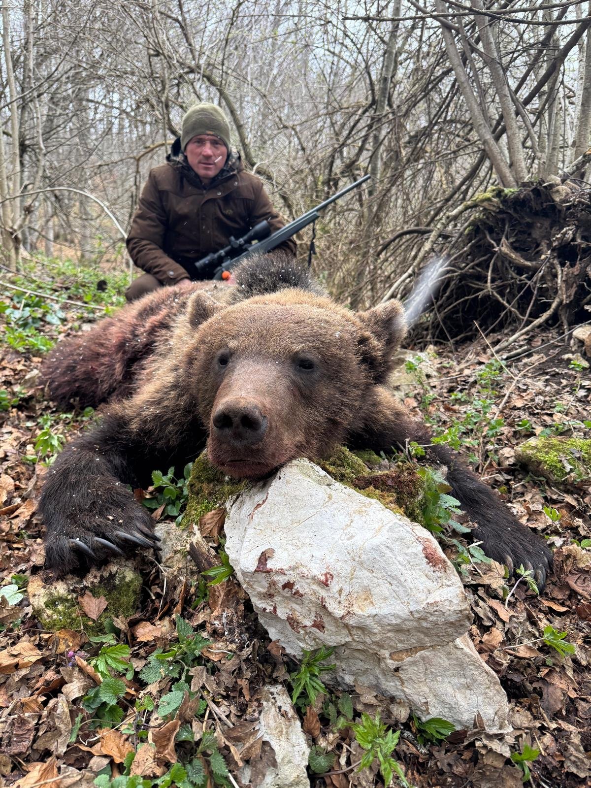 Jäger mit erlegtem Braunbär im Wald