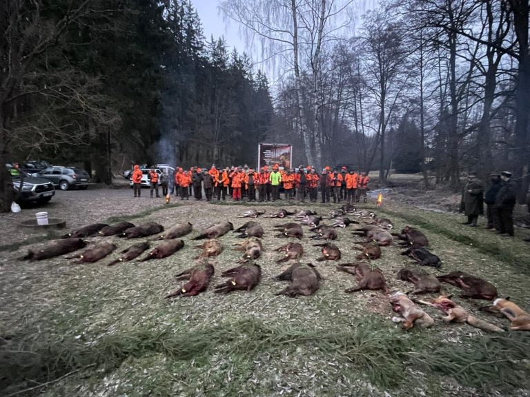 Strecke einer Drückjagd am Waldweg, Jäger in Signalfarbe